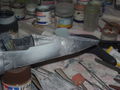 DSCN5209