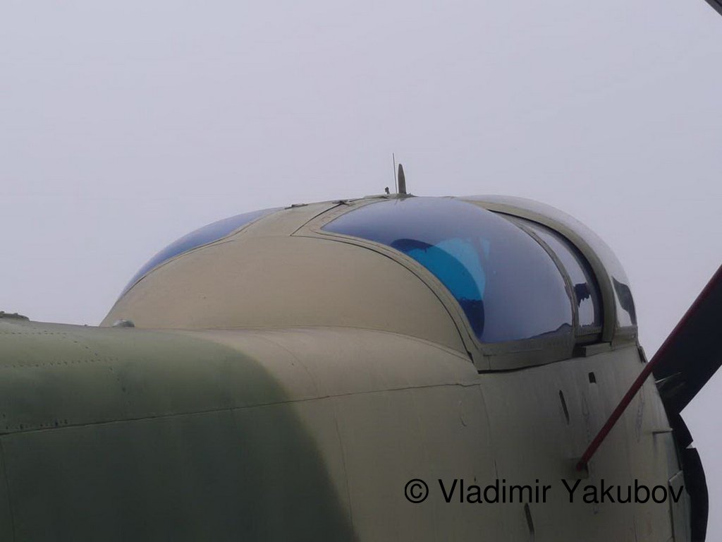 176.jpg