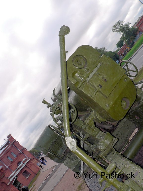 246.jpg