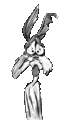 roadrunner