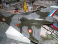 DSCN5419