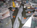 DSCN5424