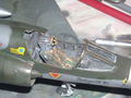 DSCN0028