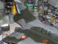 DSCN0033