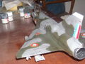 DSCN5446