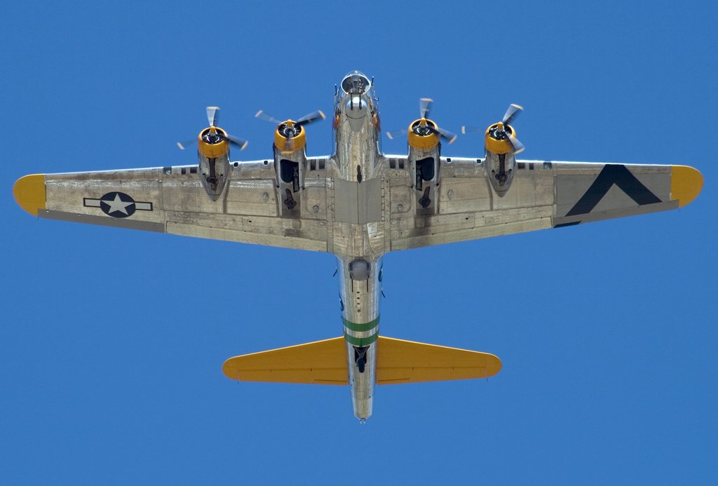 837.jpg