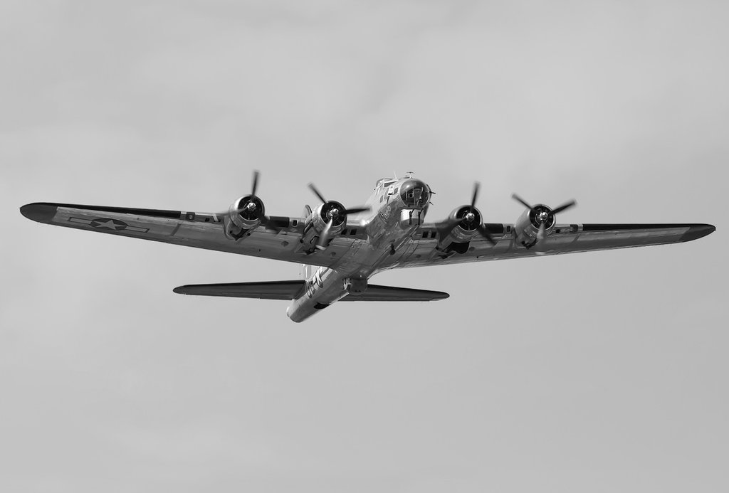 838.jpg
