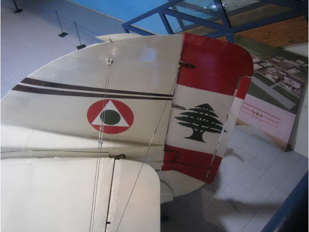 3426.jpg