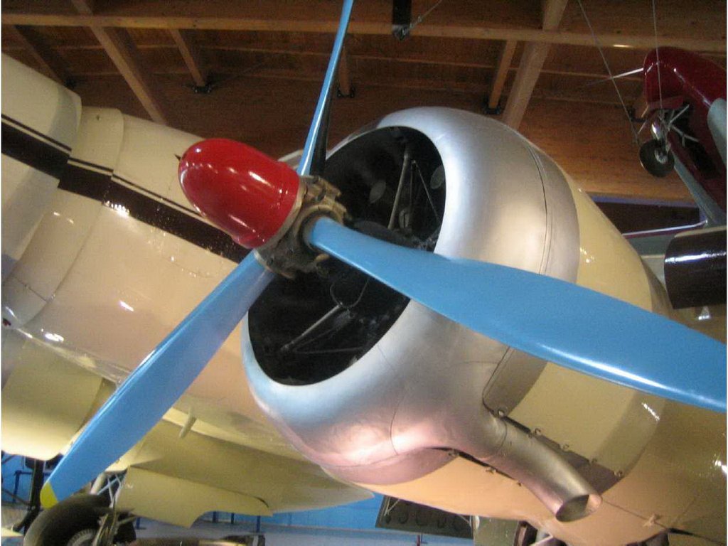 3448.jpg