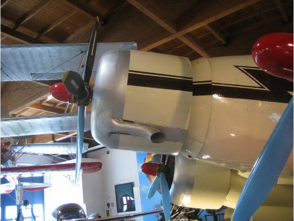 3449.jpg