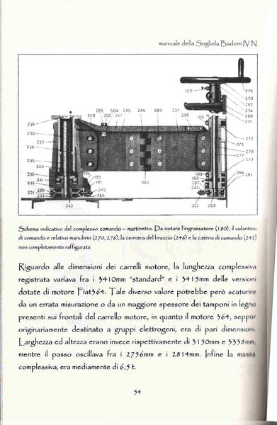 Sogliola Badoni   54
