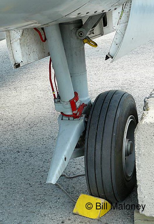 114.jpg