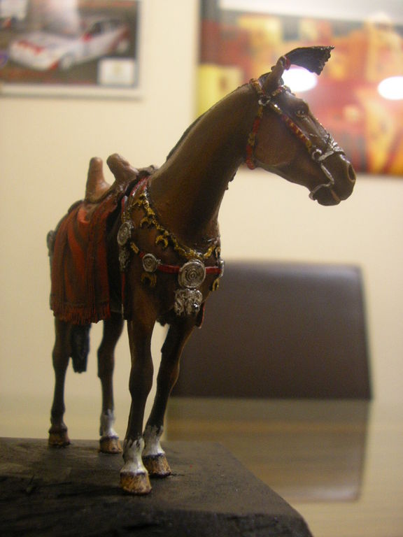 IMGP8022