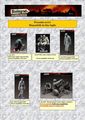 speciale stalingrad giugno 2011.pub per forum