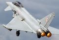 Eurofighter EF-2000_vol4 (24).jpeg