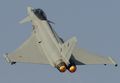 Eurofighter EF-2000_vol4 (30).jpeg
