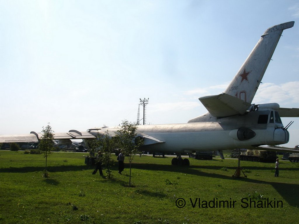 224.jpg