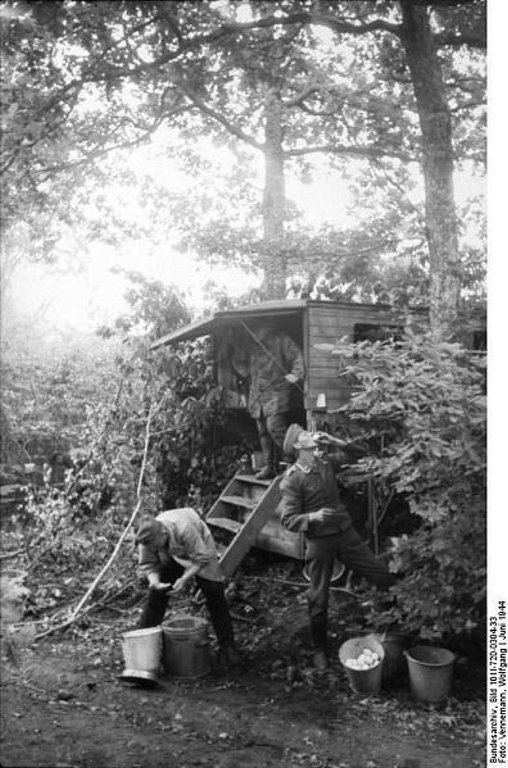 156.jpg
