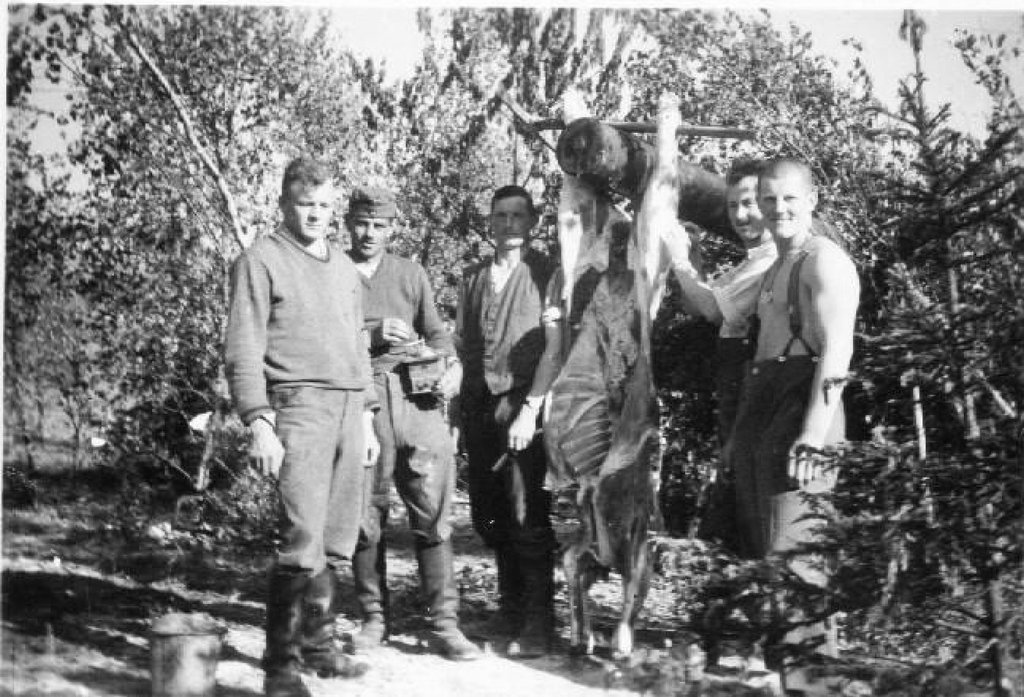 191.jpg
