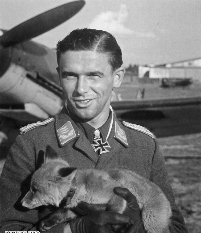 256.jpg