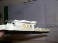 DSCN0989