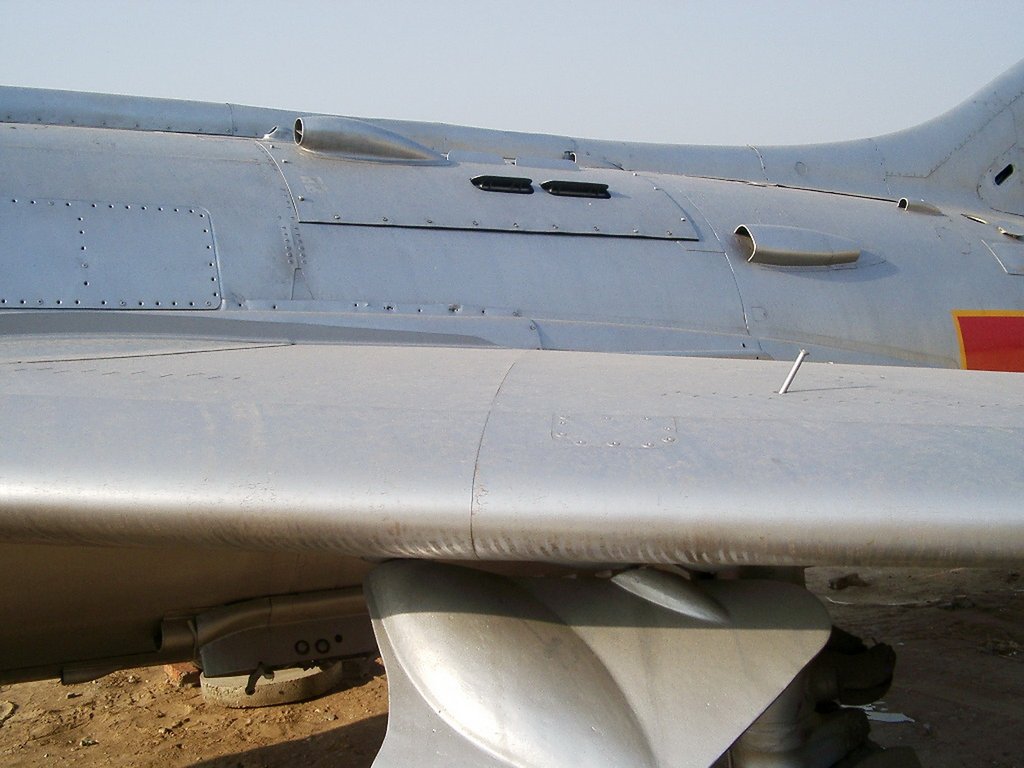 635.jpg