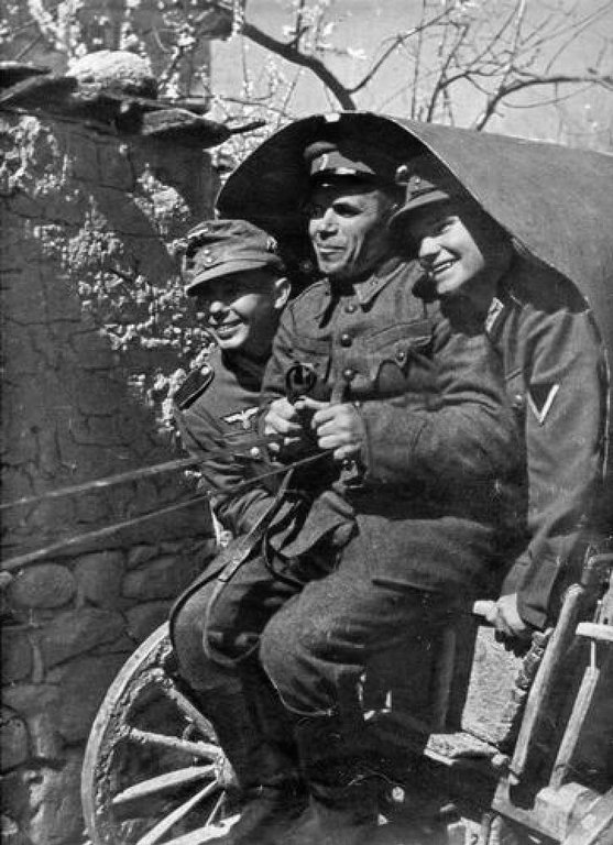 169.jpg