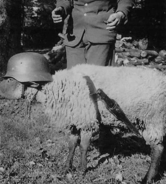 187.jpg