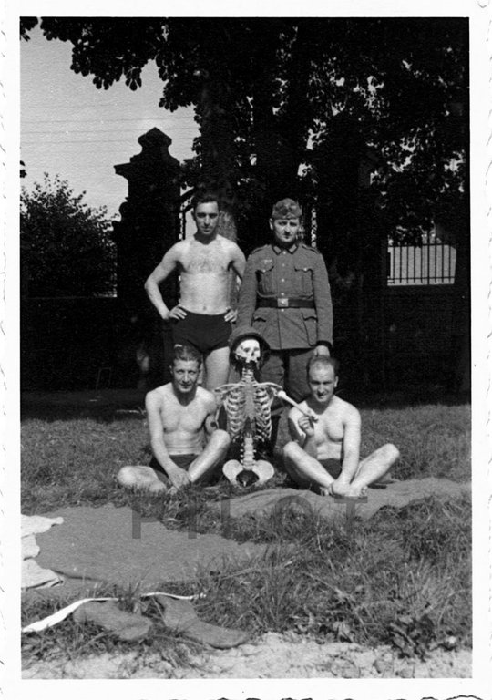 196.jpg