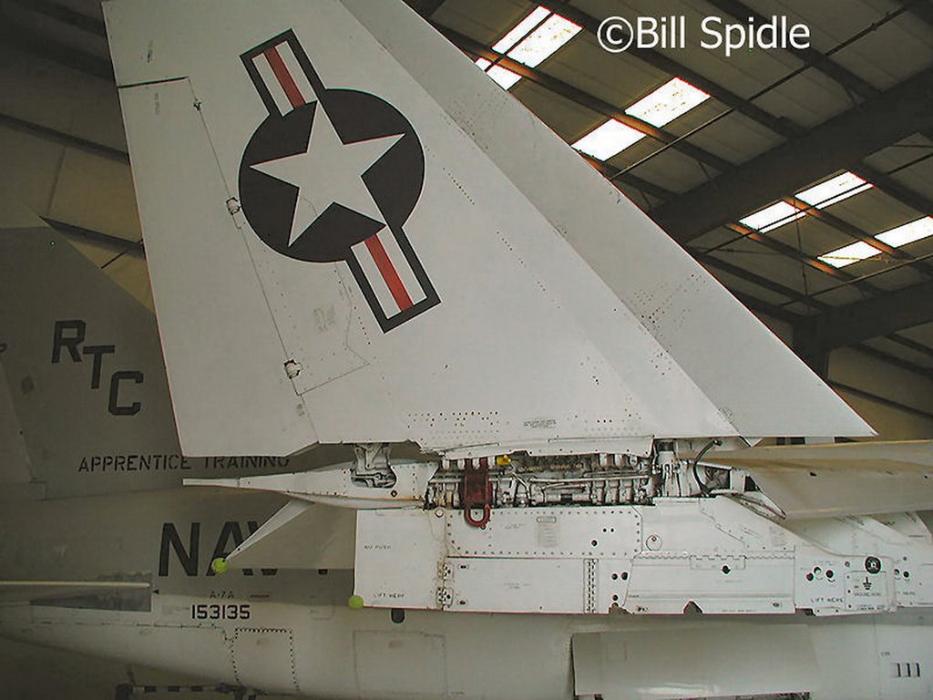 d1165.jpg