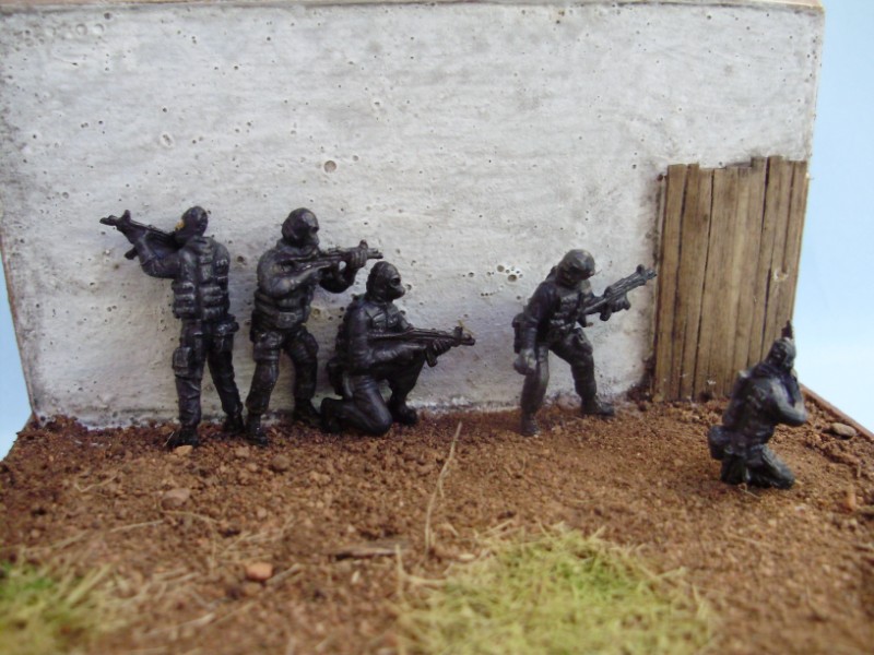 sas (2)