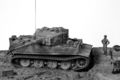 Tigre 11