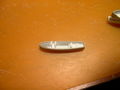 DSCN1100