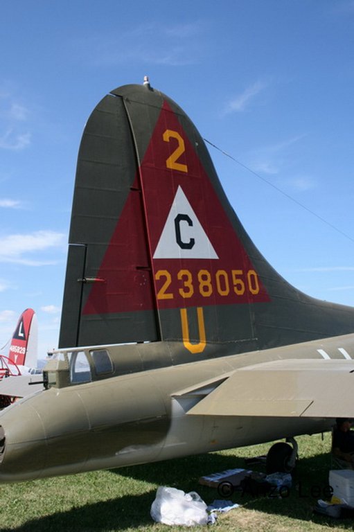 173.jpg