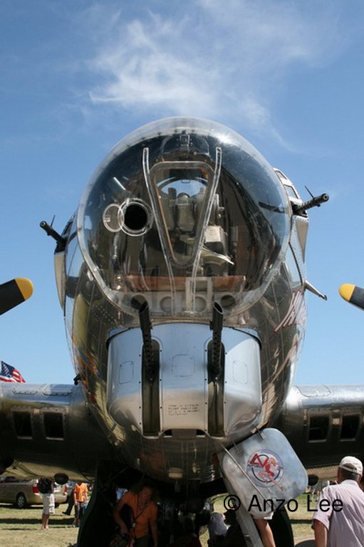 176.jpg