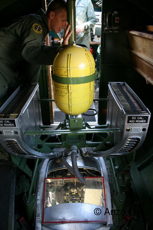 194.jpg