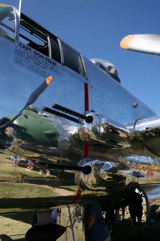 243.jpg