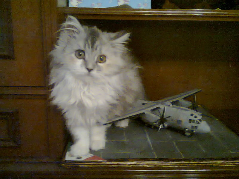 Foto0212