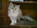 Foto0212