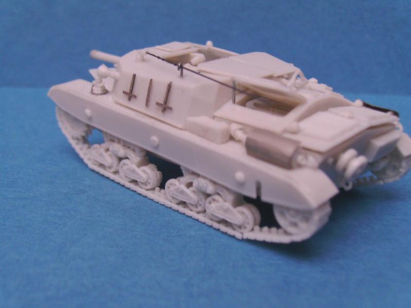 Bassotto10