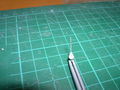 DSCN1152