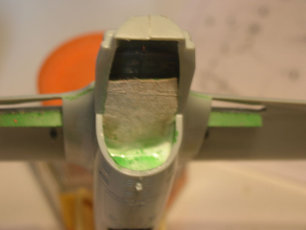 DSCN2908