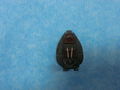 HE 162-A2 (3)