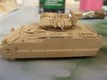 Bradley Desert Storm