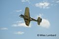 Douglas SBD-5 Dauntless