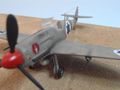 avia31
