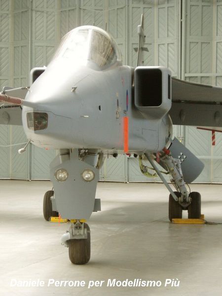 Jaguar 013