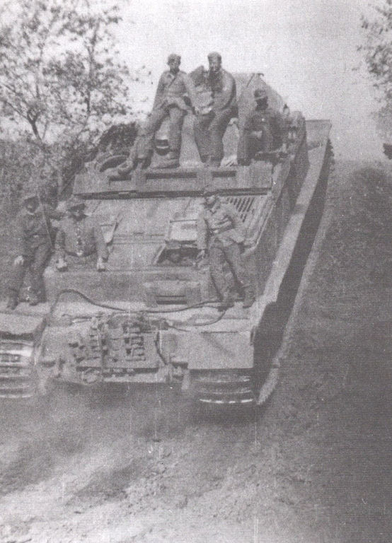 BergeElefant (12)