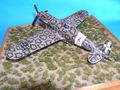04_MC. 202