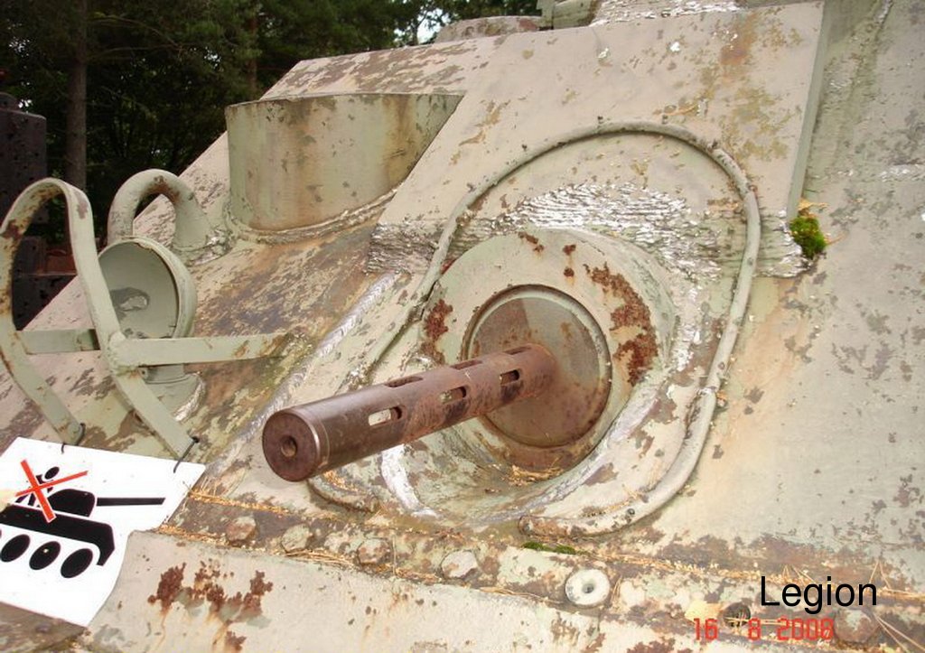 310.jpg